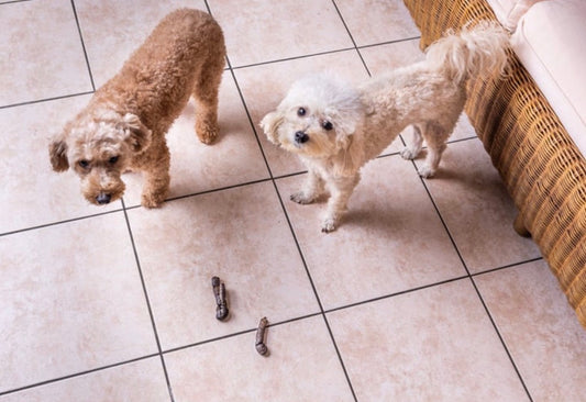 Fresh Dog Doo Baggie – Prank Gift