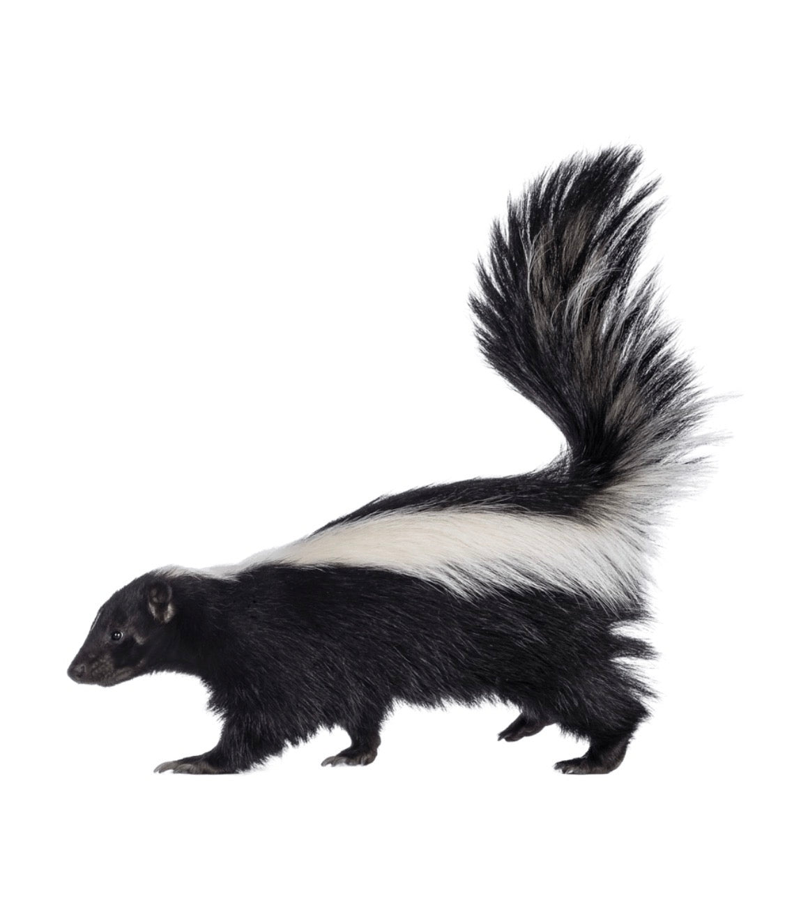 Friendly Farts in a Jar – Send to a Buddy