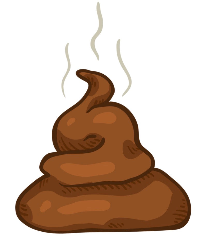 The Turds Collection™ — A Truly Crappy Gift Experience